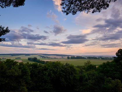 Ausblick in die Natur 
