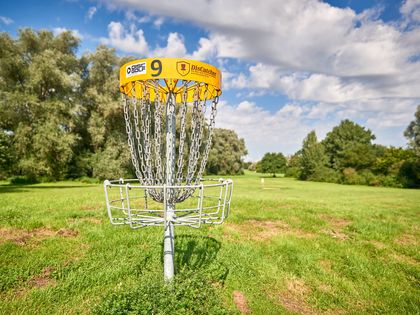 Disc-Golf 